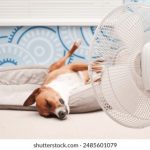 CMEG全球电子竞技大师赛巅峰对决直播震撼开启 lilp5