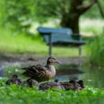 金盛平台如何助力用户实现财富增值目标 xg95hdr