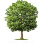 金秋娱乐活动推荐:让你的假期充满乐趣 xuorq