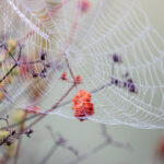 问鼎娱乐:探索娱乐行业的新兴趋势与发展机遇 6eom4cnf