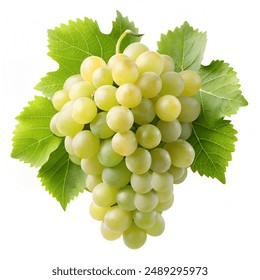 长江国际娱乐的美食与娱乐结合的完美之旅 长江国际娱乐的美食与娱乐结合的完美之旅