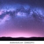 问鼎app:助你轻松掌握行业动态与市场趋势 tucfk